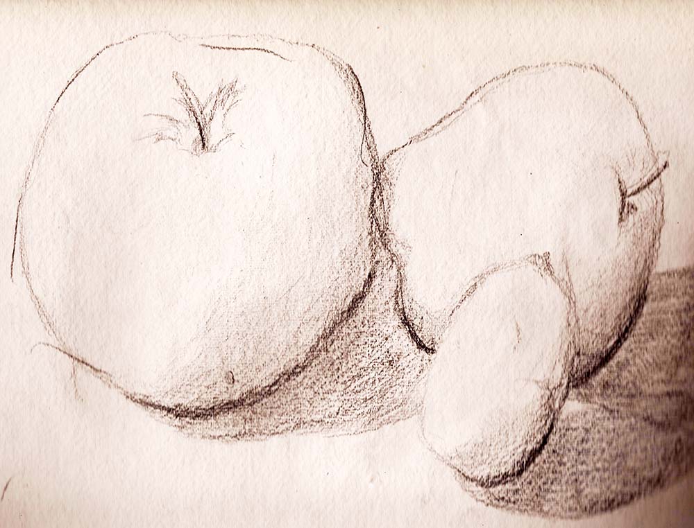 Apple Drawing in pencil
